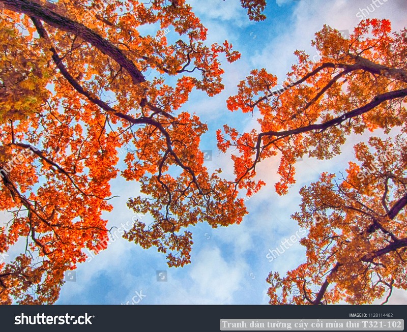 Tranh dán tường cây cối mùa thu T321-102